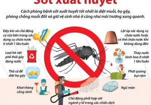 PHÒNG CHỐNG SỐT XUẤT HUYẾT