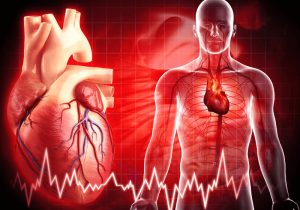 Nhận biết các dấu hiệu rối loạn nhịp tim và hướng xử trí